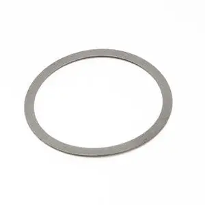 Earthquake - 1808 - 0.015 Thick Shim 1