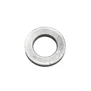 Earthquake - 2431 - M10x20x2.0 Mm Washer 1